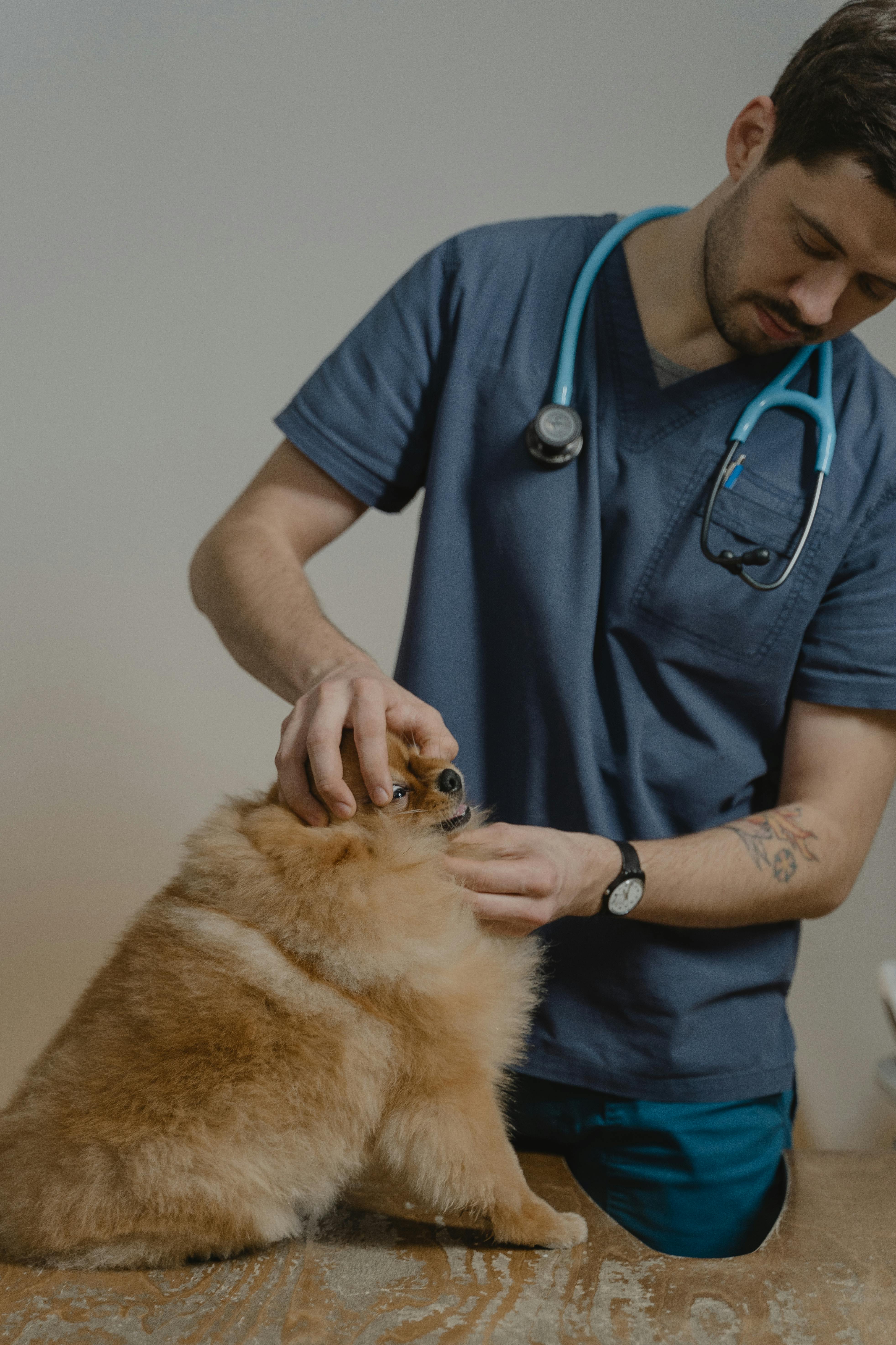 Choosing a primary care physician